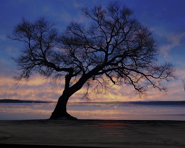 Lakeside in Geneva Digital Download