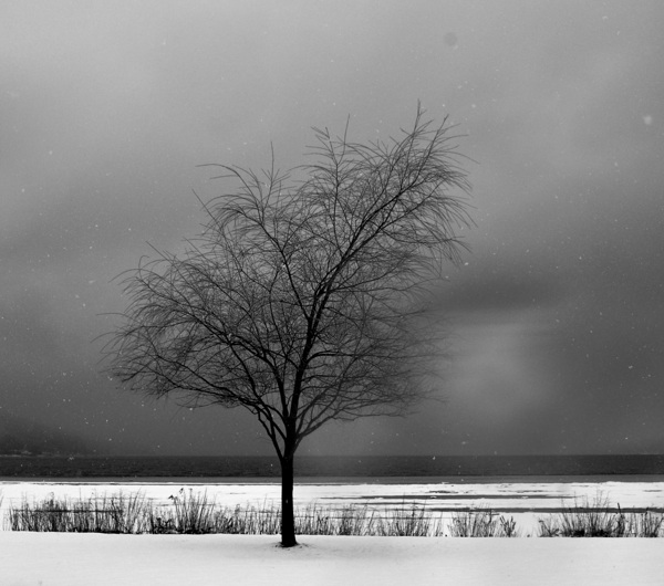 DSC 0274 Digital Download