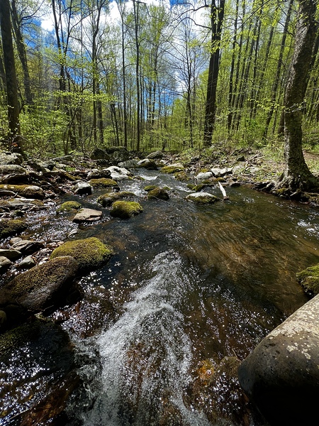 Mountain Stream Digital Download