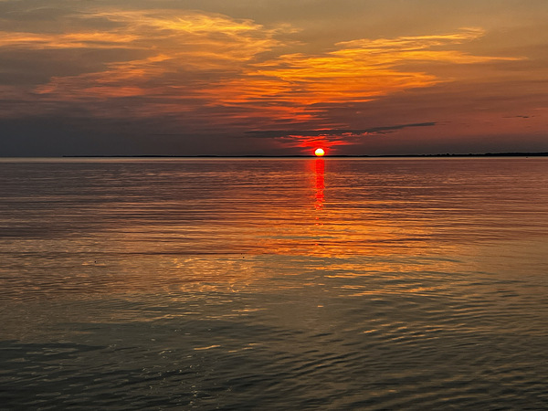 IMG 4612 Digital Download