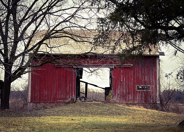 Empty barn Digital Download