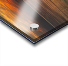 IMG 4612 Acrylic print