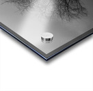 DSC 0274 Acrylic print