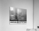 DSC 0274 Acrylic Print