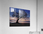 Lakeside in Geneva Acrylic Print