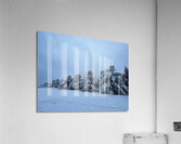 Snowy Trees Acrylic Print