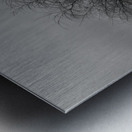 DSC 0274 Metal print