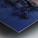 Lakeside in Geneva Metal print