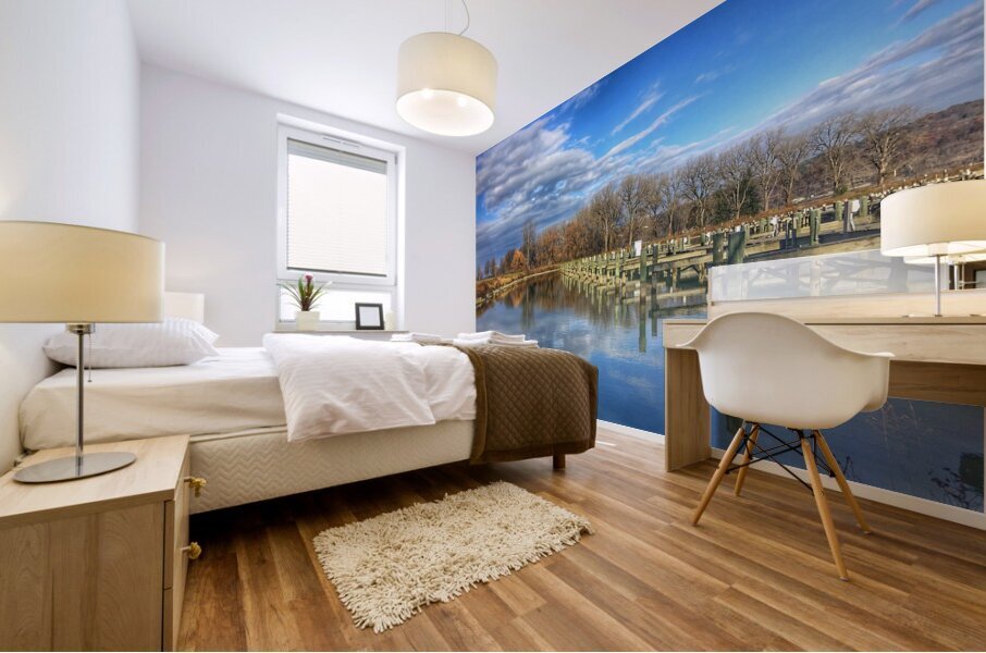 Treman Marina Mural print