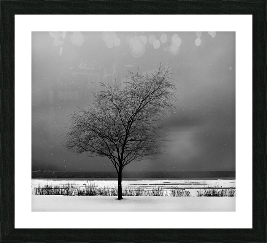 DSC 0274 Picture Frame print