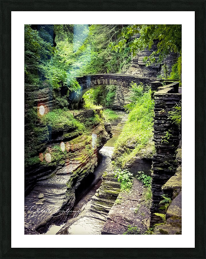 Treman Bridge Picture Frame print