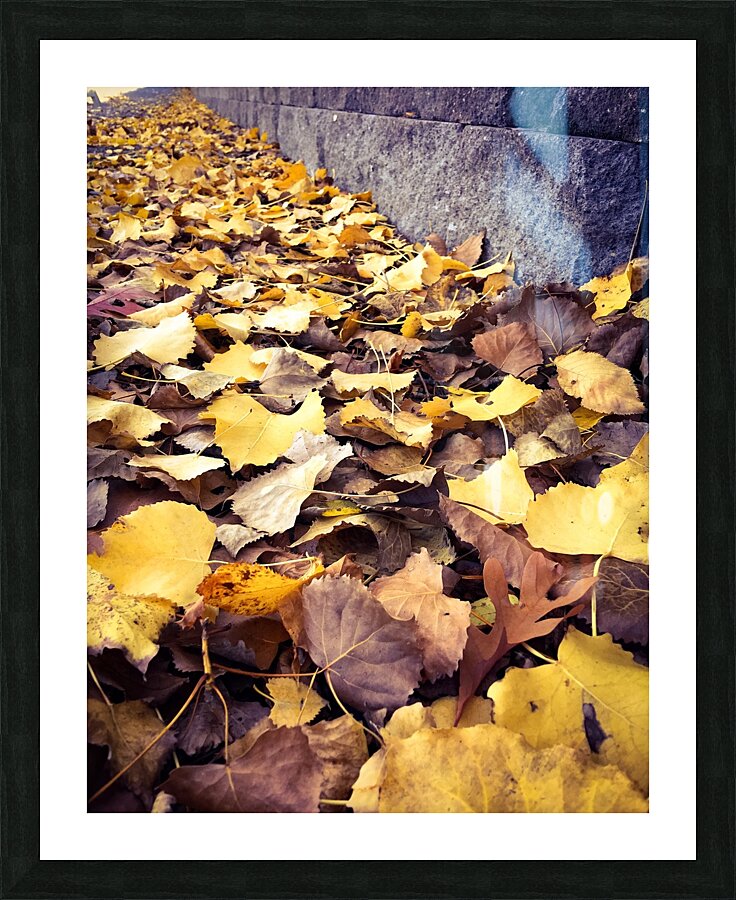 Autumn scatterings Picture Frame print