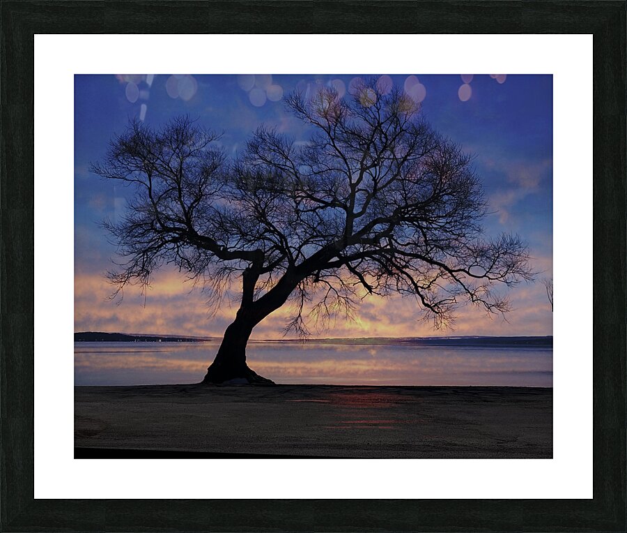 Lakeside in Geneva Picture Frame print