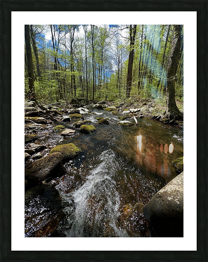 Mountain Stream Picture Frame print