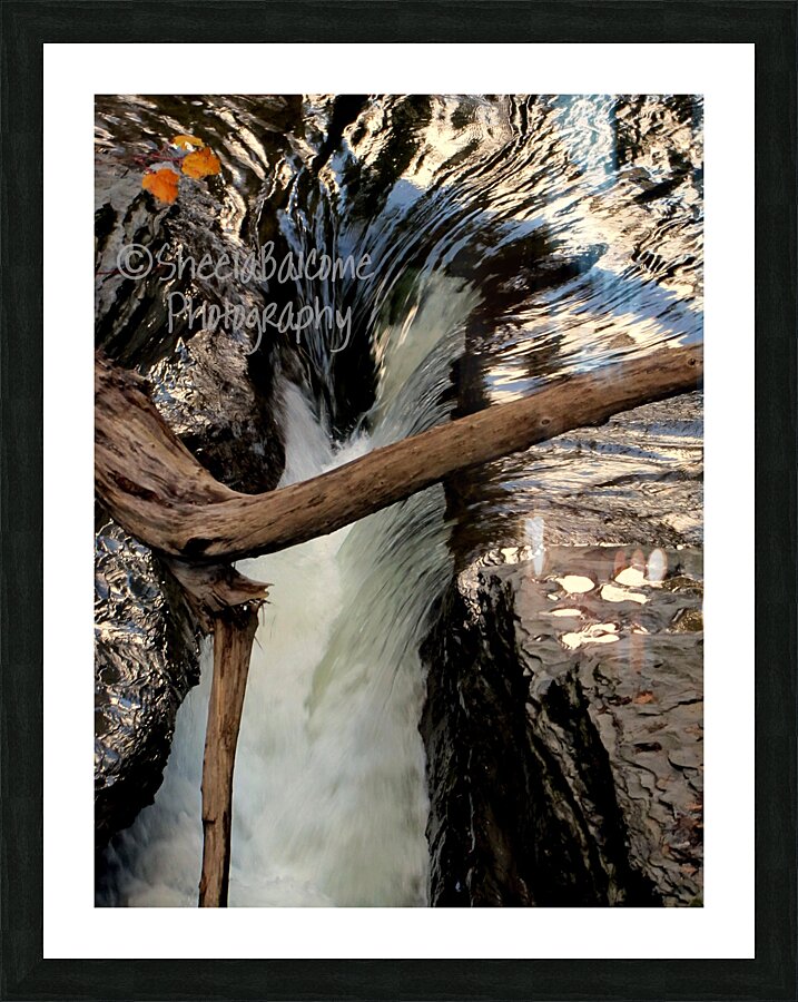 Life & Death Picture Frame print