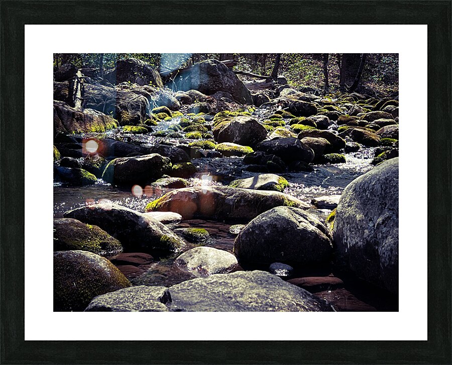 Spring in the mountains Picture Frame print