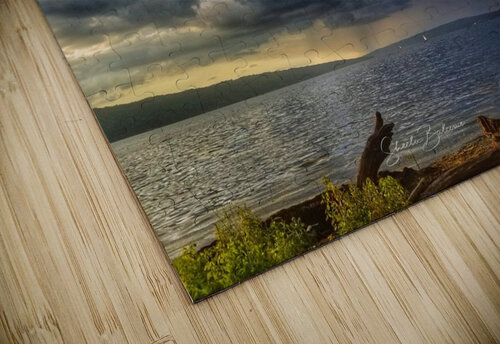 Storm over Cayuga Sheela Balcome puzzle