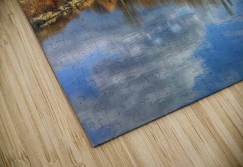 Treman Marina Sheela Balcome puzzle