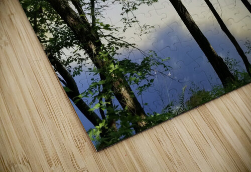 Reflections Sheela Balcome puzzle