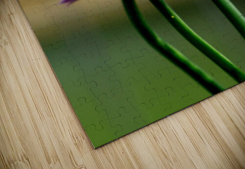 Bee5 Sheela Balcome puzzle