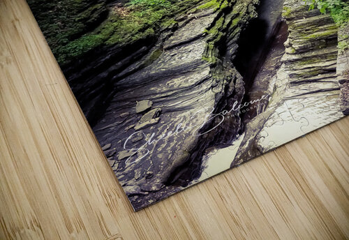 Treman Bridge Sheela Balcome puzzle