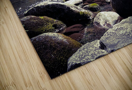 Spring in the mountains Sheela Balcome puzzle