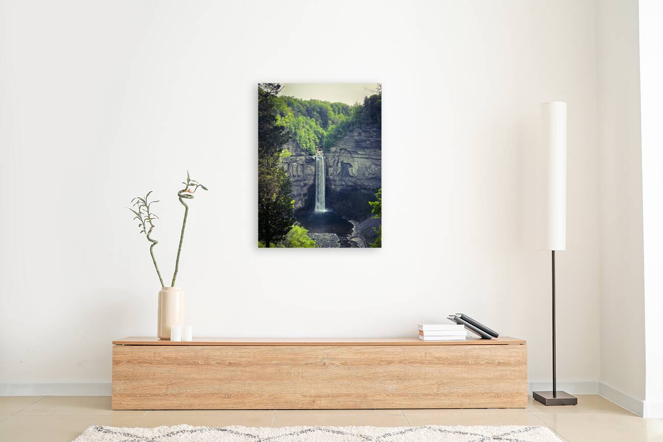 Taughannock Falls 2023 Reproduction