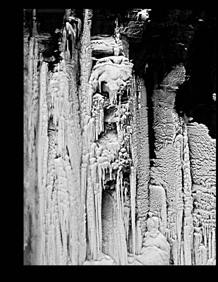 iceman Reproduction