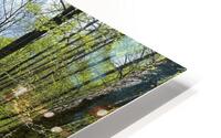 Mountain Stream HD Metal print