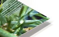 IMG 9708 HD Metal print