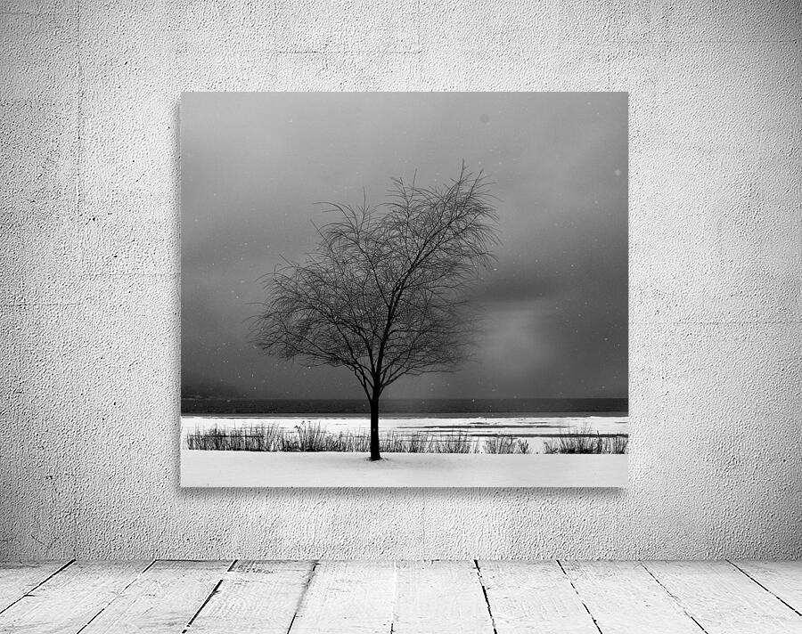 DSC 0274 Wall Preview