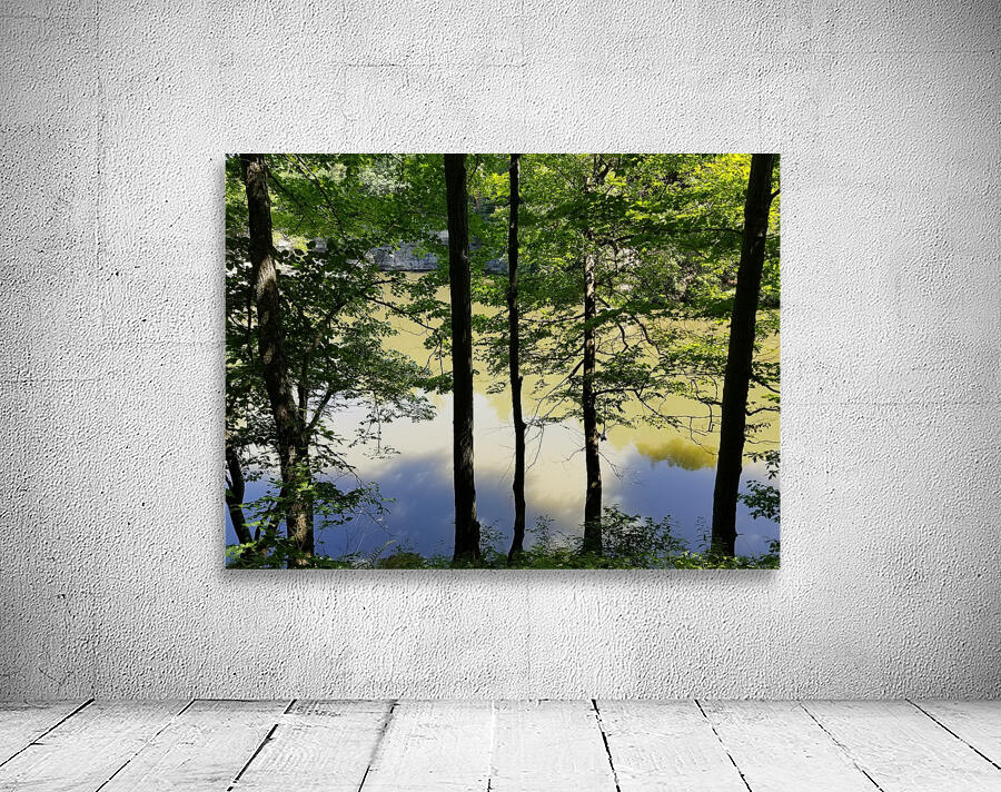 Reflections Wall Preview