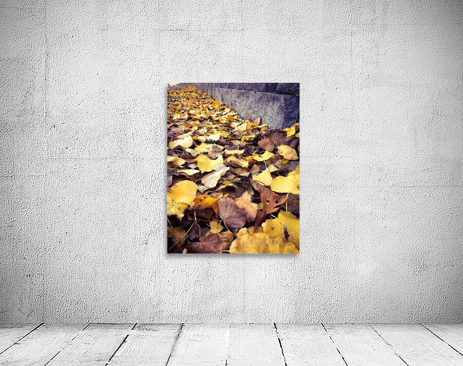Autumn scatterings Wall Preview