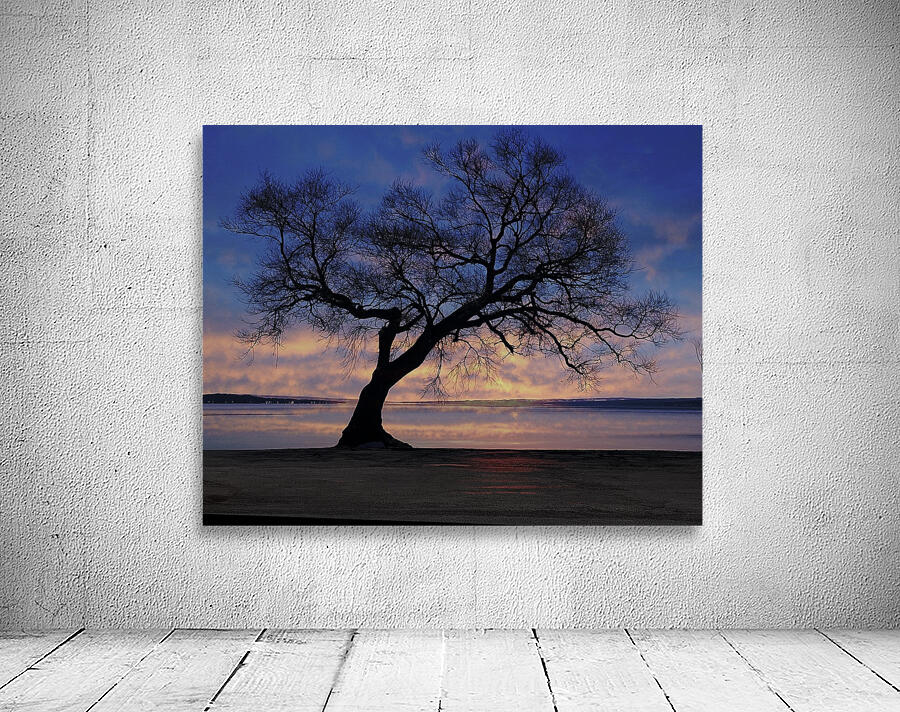 Lakeside in Geneva Wall Preview