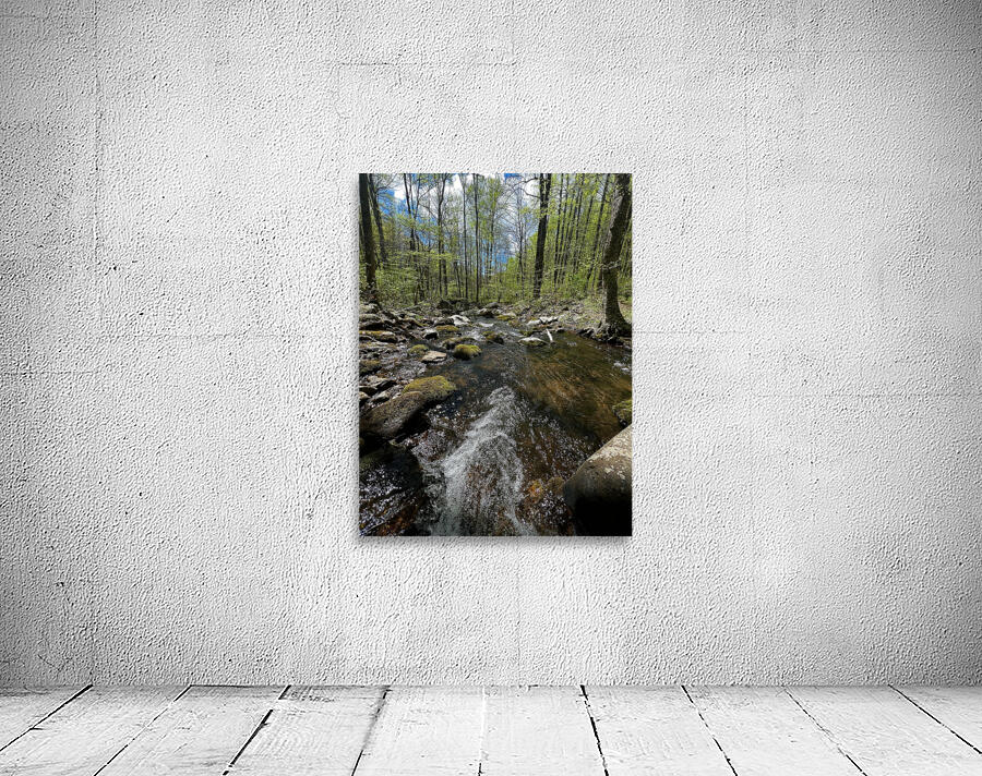 Mountain Stream Wall Preview