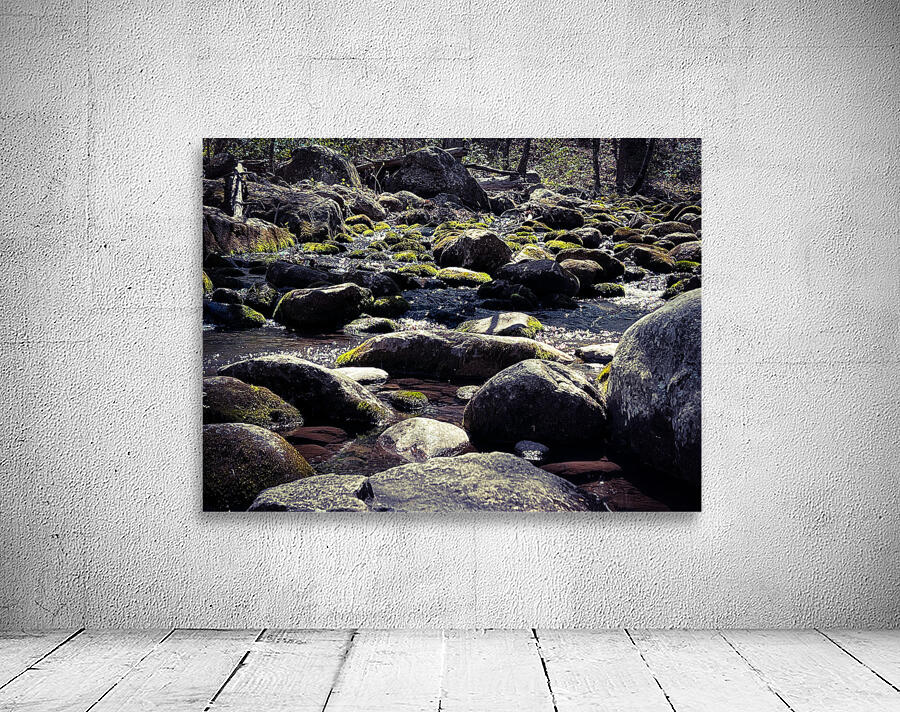Spring in the mountains Wall Preview