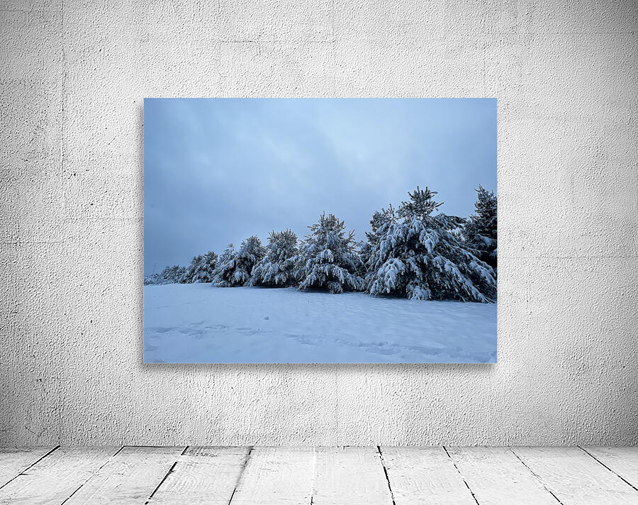 Snowy Trees Wall Preview