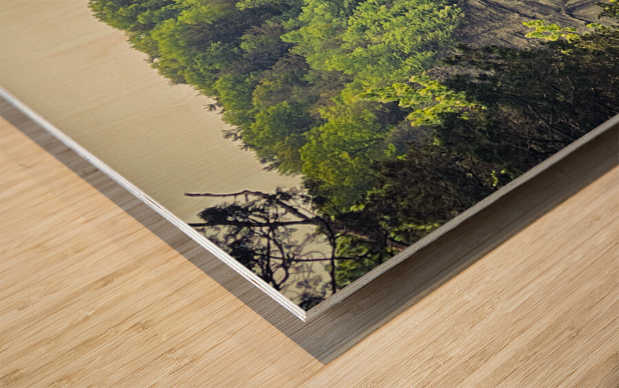 Taughannock Falls 2023 Wood print