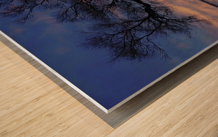 Lakeside in Geneva Wood print