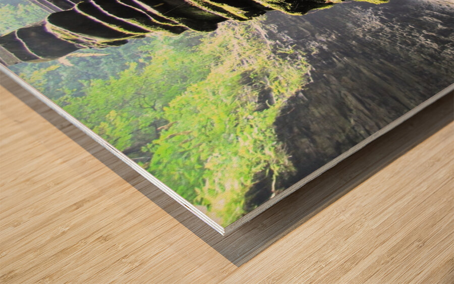 Stairway at Watkins Wood print