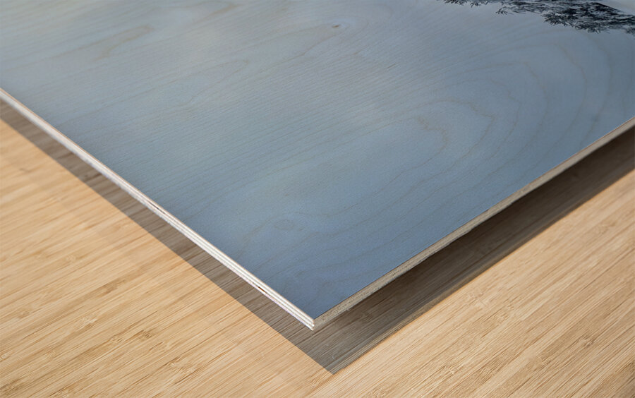 Snowy Trees Wood print