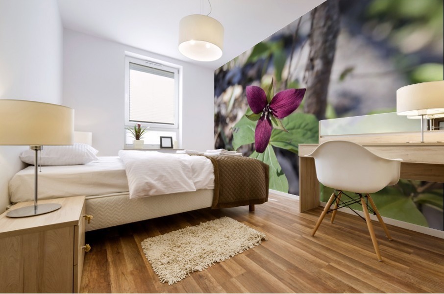 Red Trillium 2 Mural print