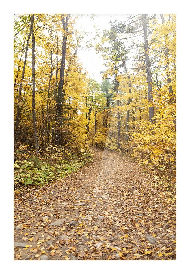 Eagle Nest Trail Picture Frame print