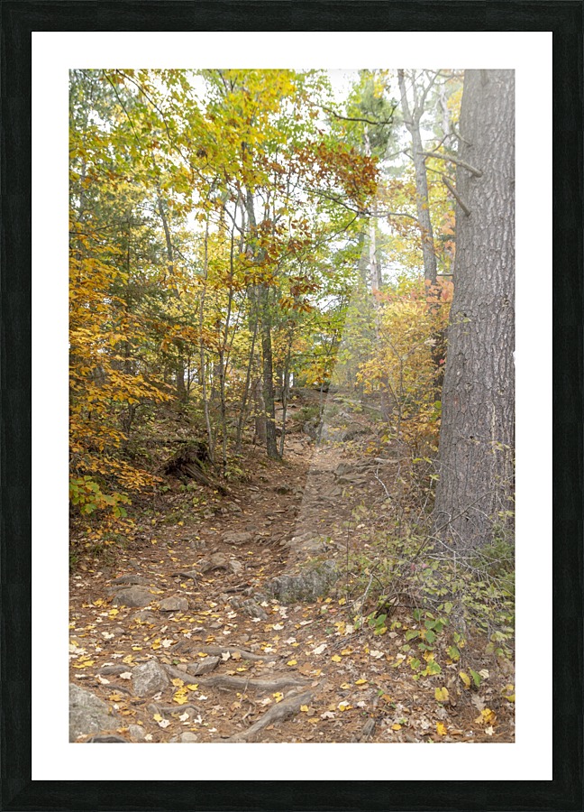 Eagle Nest Trail 5 Picture Frame print
