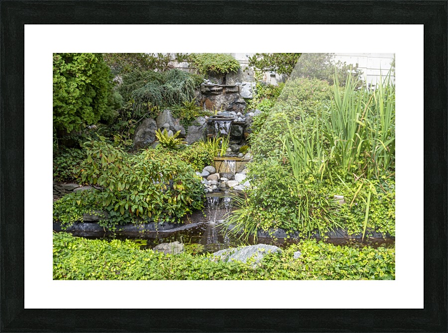 IMGP4925 Picture Frame print