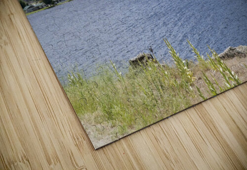 Okanagan Lake 2 Bob Corson puzzle