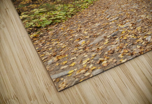 Eagle Nest Trail Bob Corson puzzle