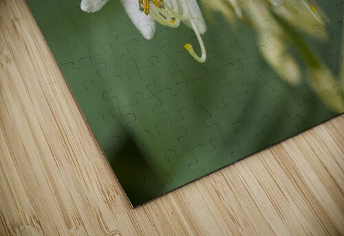 Hosta Flower Cluster 2 Bob Corson puzzle