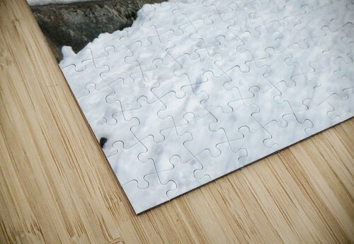 Napping Arctic wolves Bob Corson puzzle