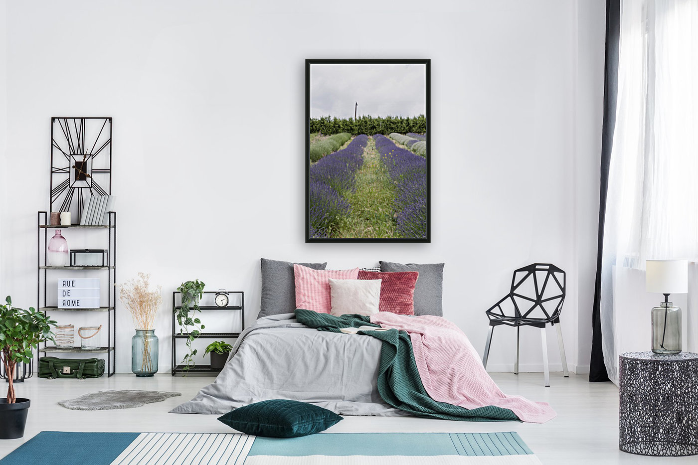 Lavender plants 6 Reproduction